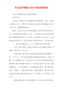 市生态环境局2025年度述职报告