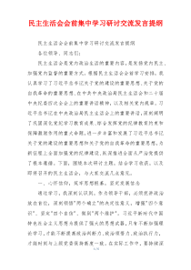 民主生活会会前集中学习研讨交流发言提纲