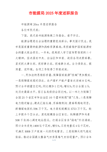 市能源局2025年度述职报告