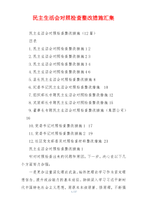 民主生活会对照检查整改措施汇集