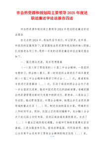 市自然资源和规划局主要领导2025年度述职述廉述学述法报告四述