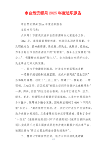 市自然资源局2025年度述职报告