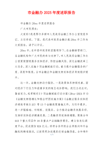 市金融办2025年度述职报告