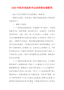2025年机关党组织书记述职报告城管局