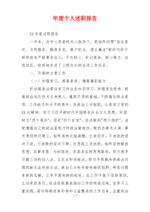 年度个人述职报告
