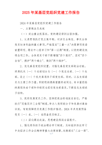 2025年某基层党组织党建工作报告