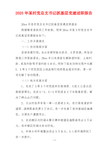 2025年某村党总支书记抓基层党建述职报告