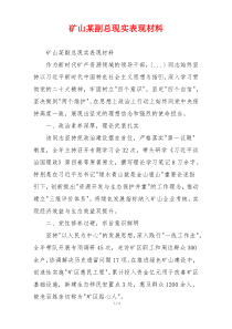 矿山某副总现实表现材料