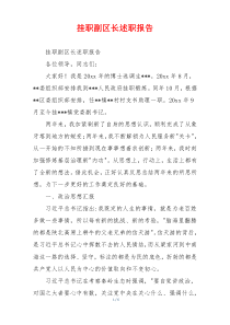 挂职副区长述职报告