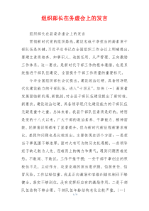 组织部长在务虚会上的发言