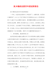 某乡镇政法委员年度述职报告