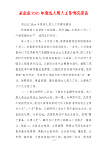 某企业2025年度选人用人工作情况报告