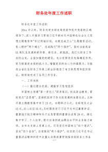财务处年度工作述职