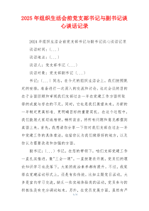2025年组织生活会前党支部书记与副书记谈心谈话记录