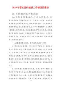 2025年落实党的建设工作情况的报告