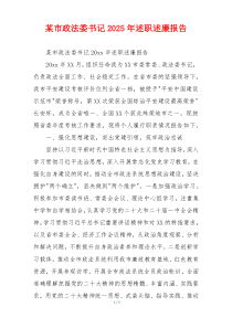 某市政法委书记2025年述职述廉报告