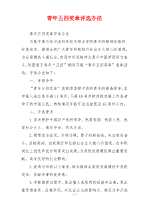 青年五四奖章评选办法