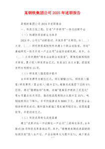 某钢铁集团公司2025年述职报告