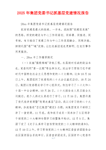 2025年集团党委书记抓基层党建情况报告