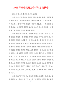 2025年非公党建工作半年总结报告