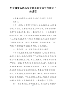 在全镇食品药品安全委员会全体工作会议上的讲话
