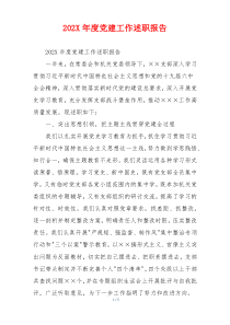 202X年度党建工作述职报告