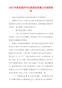 202X年度党组织书记抓基层党建工作述职报告