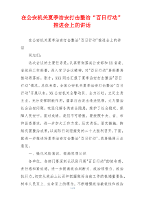 在公安机关夏季治安打击整治“百日行动”推进会上的讲话