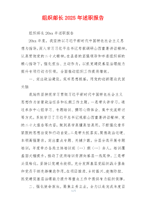 组织部长2025年述职报告