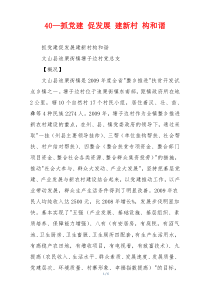 40—抓党建 促发展 建新村 构和谐