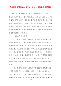 自然资源系统书记2025年述职报告简练版