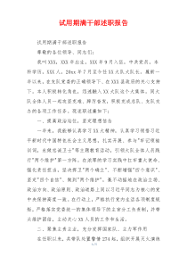 试用期满干部述职报告