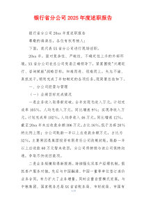 银行省分公司2025年度述职报告