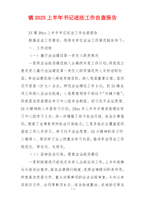 镇2025上半年书记述法工作自查报告