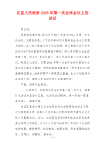 在县人民政府2025年第一次全体会议上的讲话