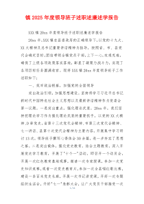 镇2025年度领导班子述职述廉述学报告