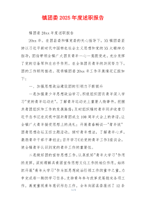 镇团委2025年度述职报告