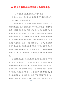 XX局党组书记抓基层党建工作述职报告