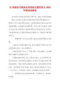 XX市综合行政执法局党政主要负责人2025年度述法报告