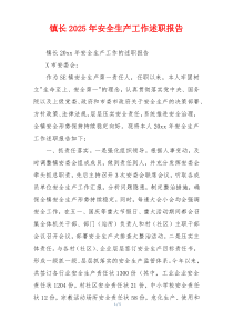 镇长2025年安全生产工作述职报告