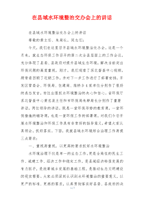在县域水环境整治交办会上的讲话