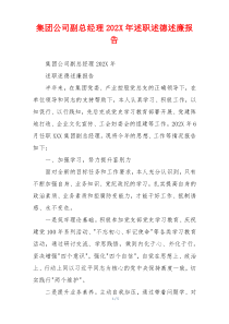 集团公司副总经理202X年述职述德述廉报告
