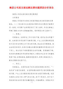 集团公司某支部巡察反馈问题原因分析报告