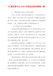 XX镇党委书记2025年度述法报告整理3篇