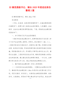 XX镇党委副书记、镇长2025年度述法报告整理2篇