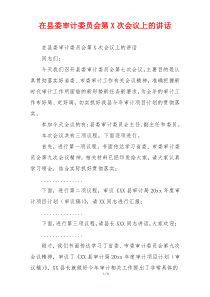 在县委审计委员会第X次会议上的讲话