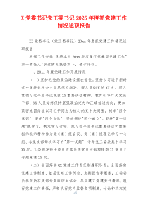 X党委书记党工委书记2025年度抓党建工作情况述职报告