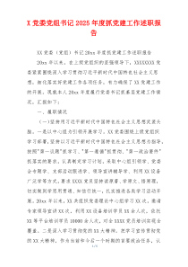 X党委党组书记2025年度抓党建工作述职报告