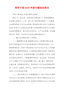领导干部2025年度专题述法报告