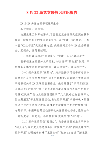 X县XX局党支部书记述职报告